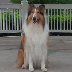 Meet your Posher, Cathy